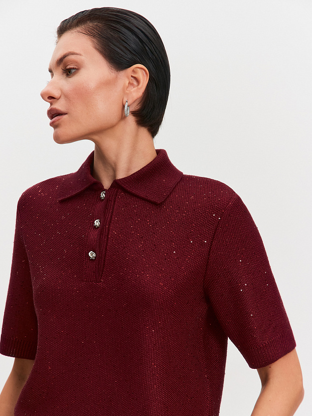 Айн джемпер (поло) трикотажный (бордо, 44-46)