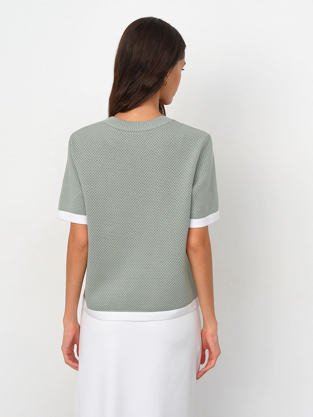 Элмонд джемпер (футболка) трикотажный (св.зеленый, 44-46)