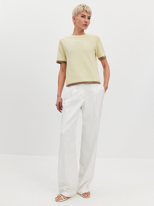 Элмонд джемпер (футболка) трикотажный (бледно-желтый, 44-46)