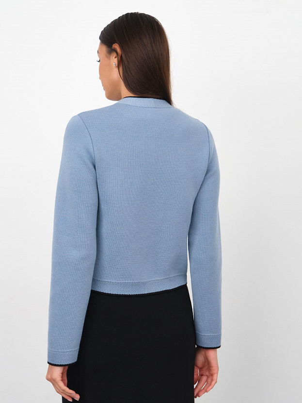 Сириус жакет трикотажный (голубой, 46)