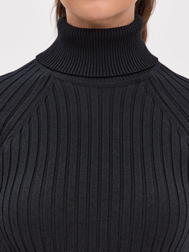 Люси водолазка трикотажная (черный, 44-46)