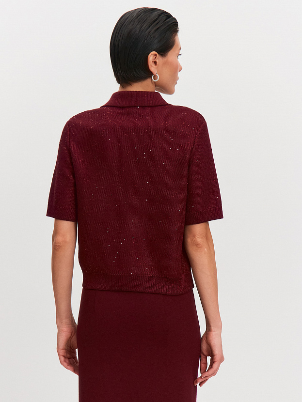 Айн джемпер (поло) трикотажный (бордо, 44-46)