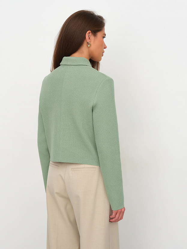 Лацио жакет трикотажный (светло-зеленый, 44-46)